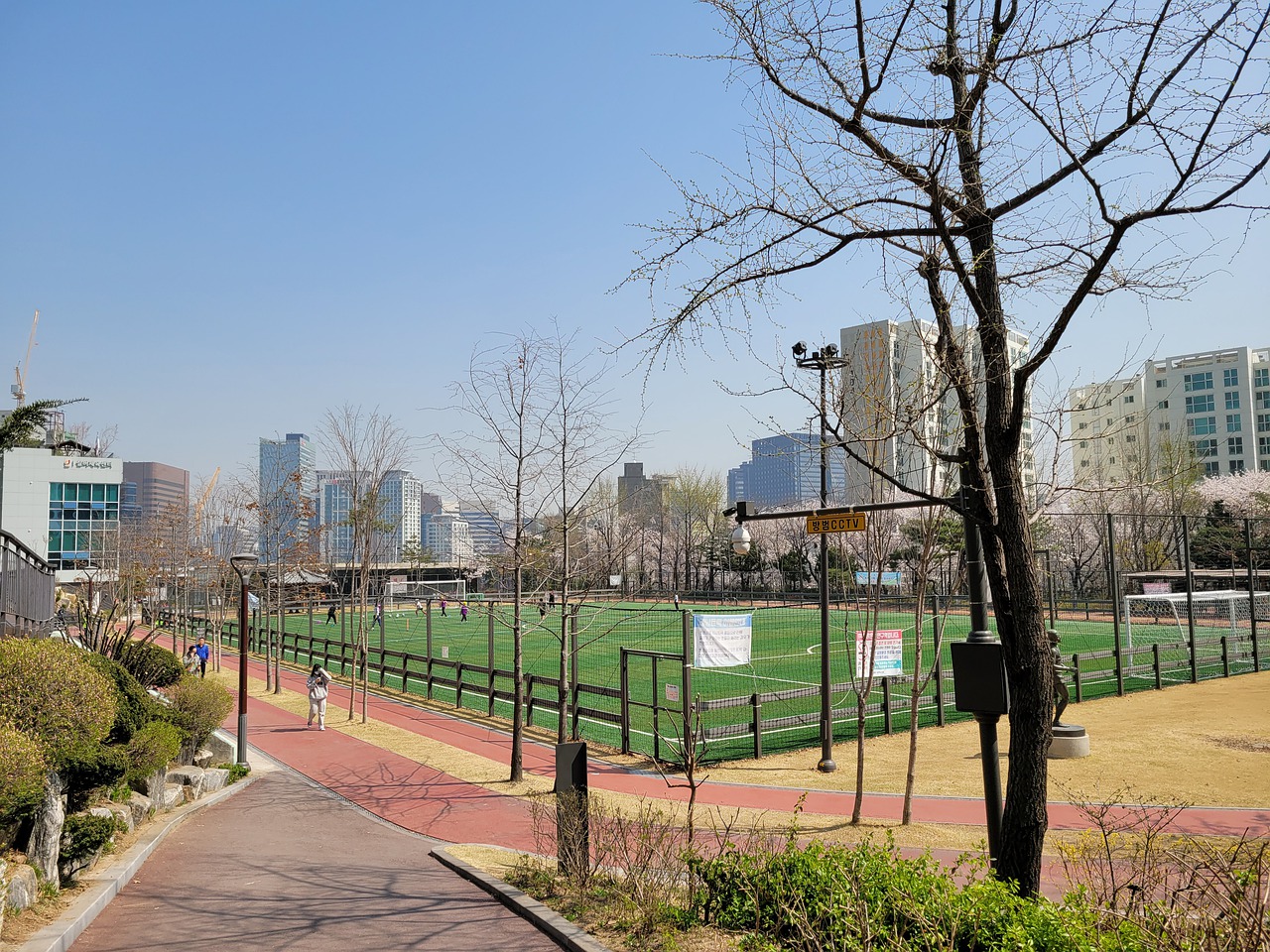 报名人数常