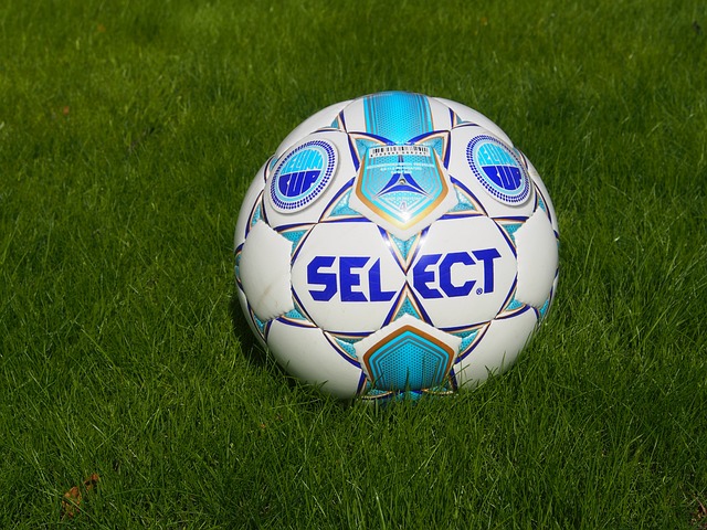 的獨特形象 的獨特形象