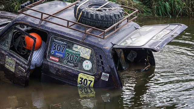 自己職業生 自己職業生