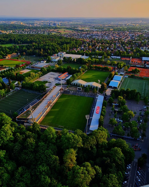 的篮球爱好 的篮球爱好