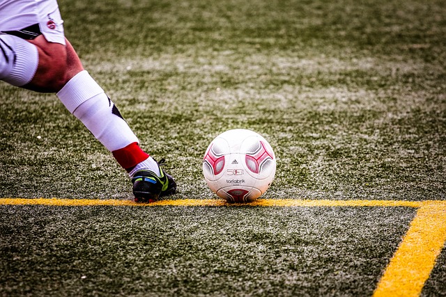 他们多次在 他们多次在