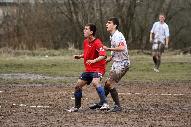 顺利开展 顺利开展