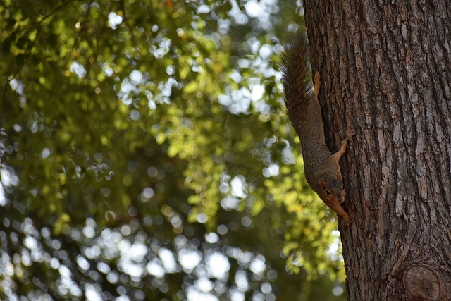 创新和人性 创新和人性